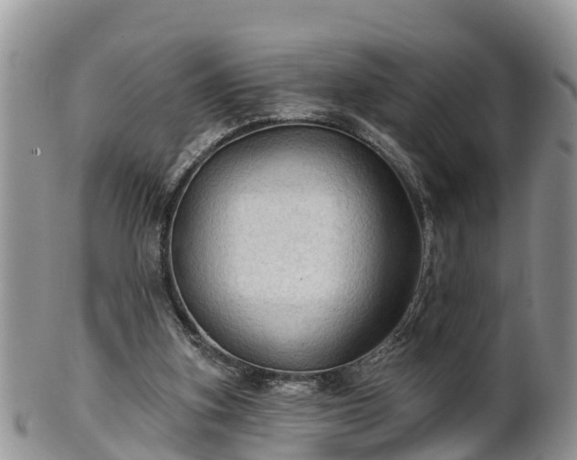 X0000102280155200808011458