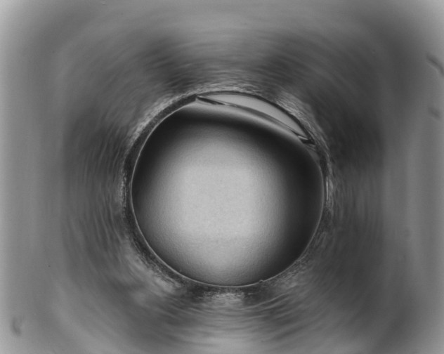 X0000102280156200808011458