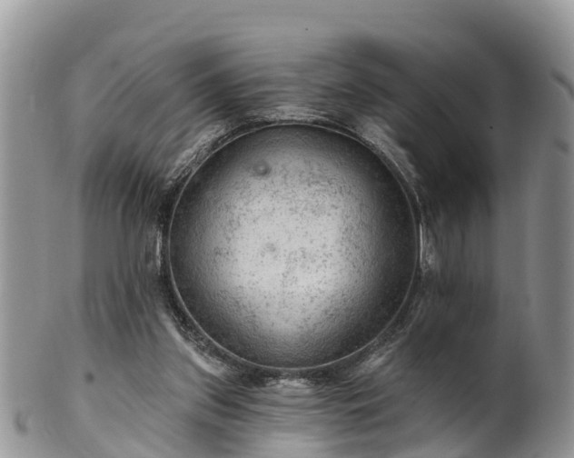 X0000102280157200808011458