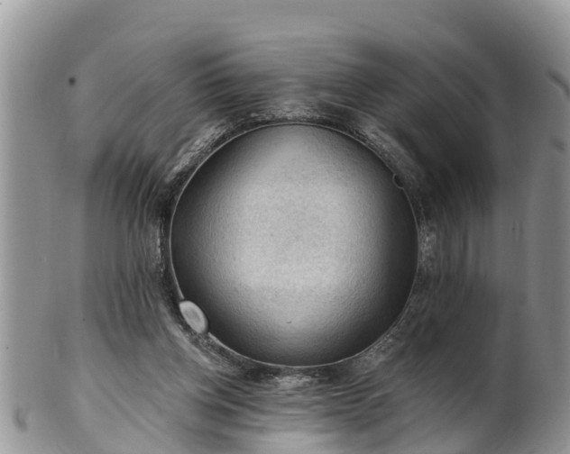 X0000102280158200808011458