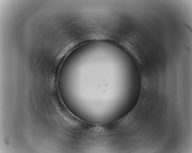 X0000102280159200808011458