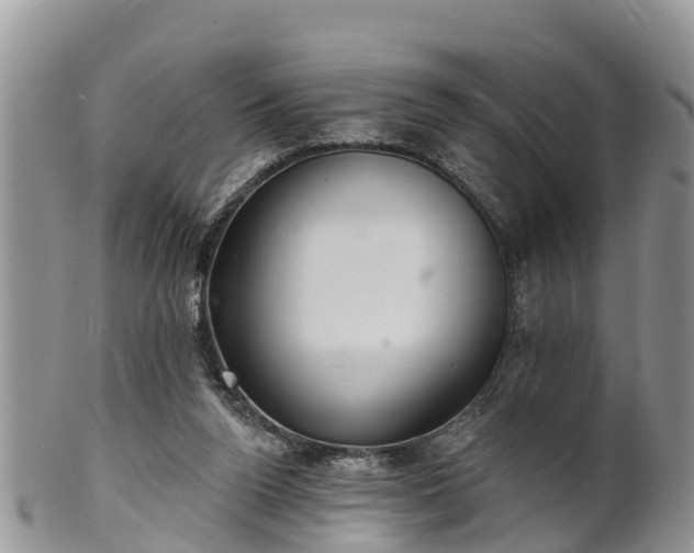 X0000102280160200808011458