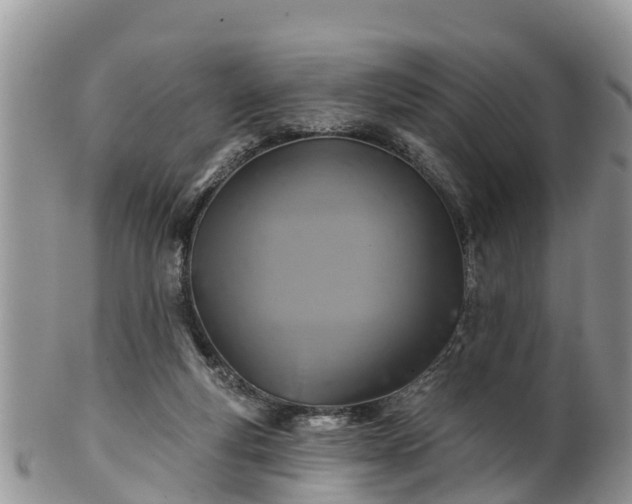 X0000102280163200808011458