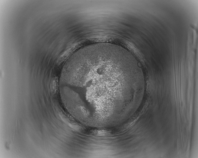 X0000102280165200808011458