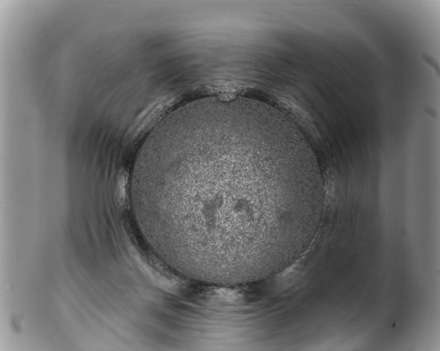 X0000102280166200808011458