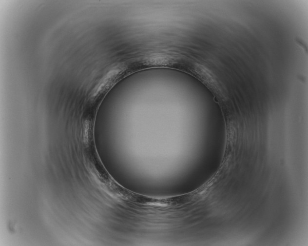 X0000102280167200808011458