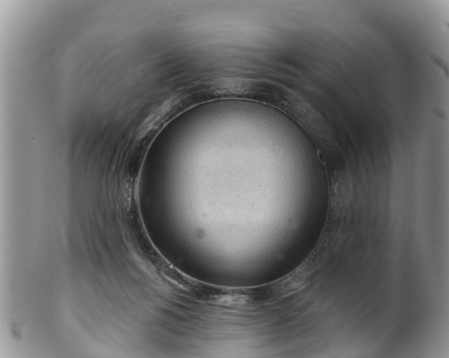 X0000102280168200808011458