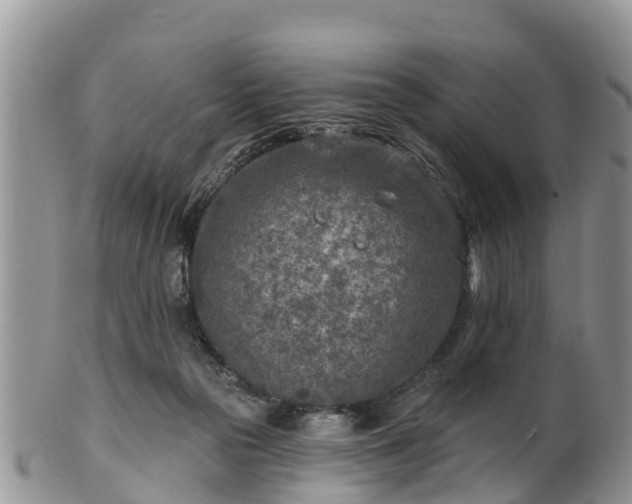 X0000102280169200808011458