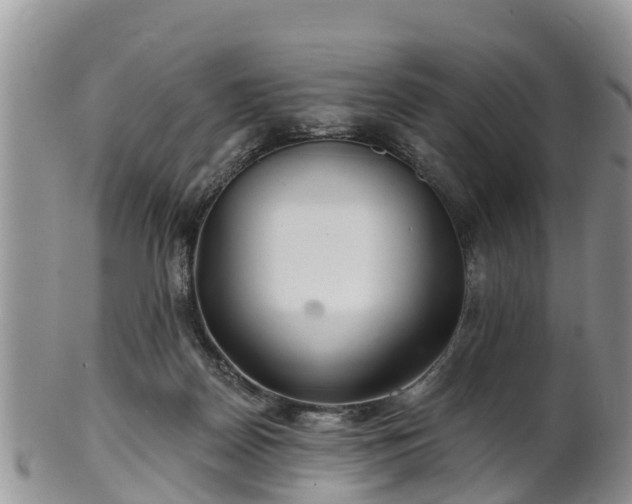 X0000102280170200808011458