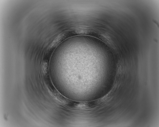 X0000102280171200808011458