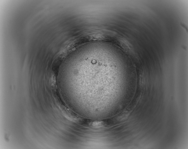 X0000102280173200808011458