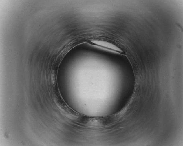 X0000102280174200808011458