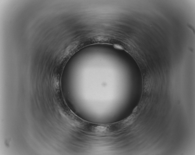 X0000102280176200808011458