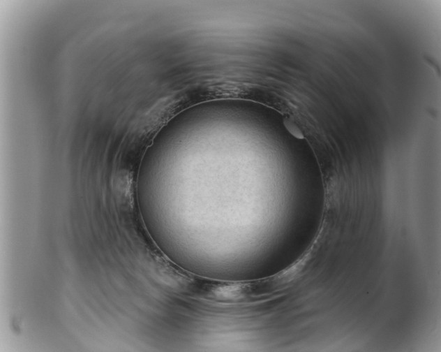 X0000102280178200808011458