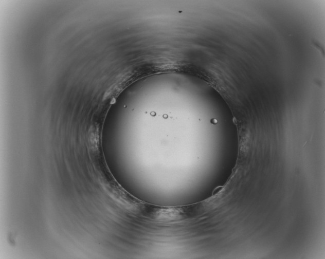 X0000102280179200808011458