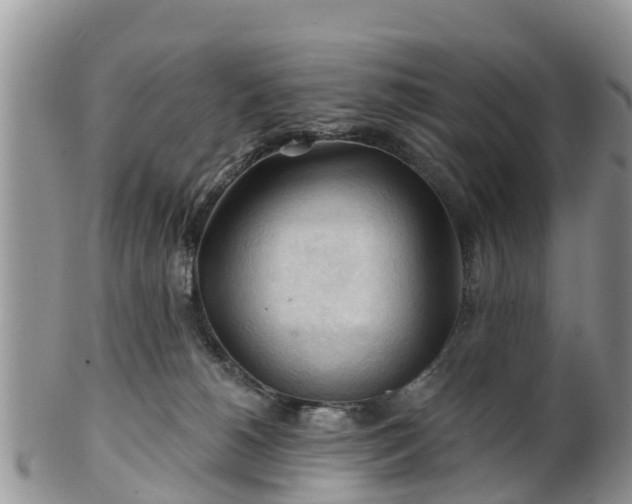 X0000102280180200808011458