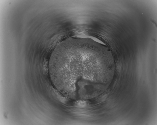 X0000102280181200808011458