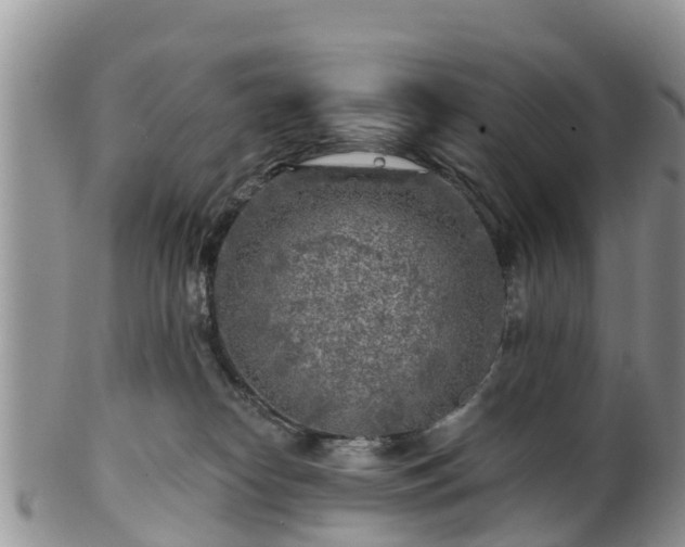 X0000102280182200808011458