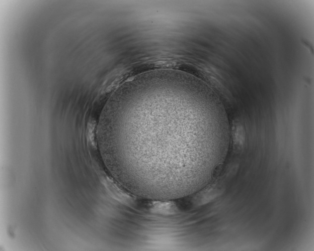 X0000102280185200808011458