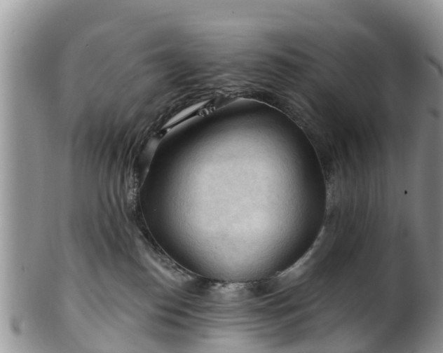 X0000102280186200808011458