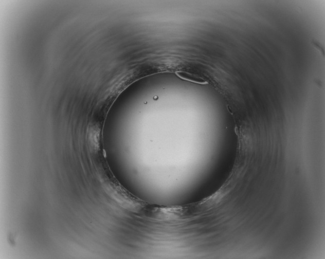 X0000102280188200808011459