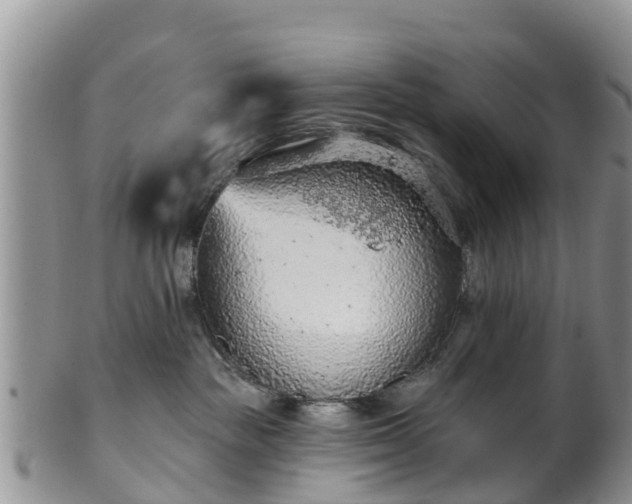 X0000102280189200808011459