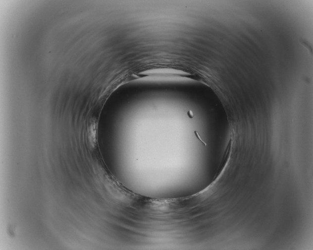 X0000102280190200808011459