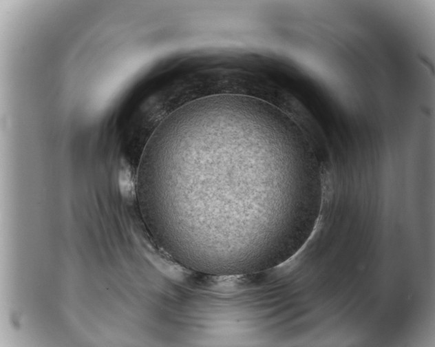 X0000102280191200808011459