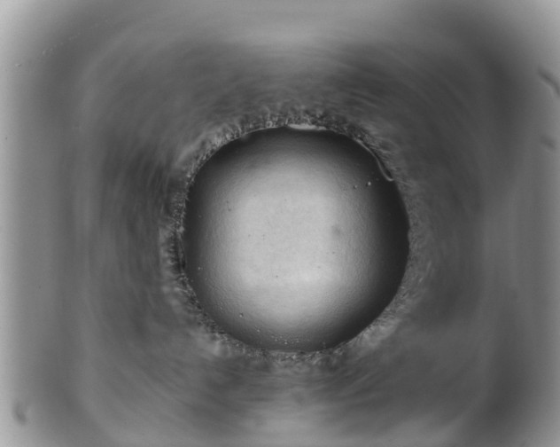 X0000102280192200808011459