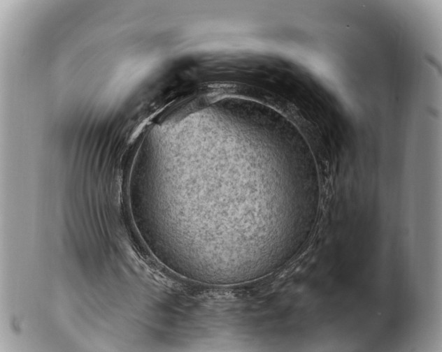 X0000102280194200808011458