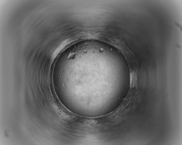 X0000102280195200808011458