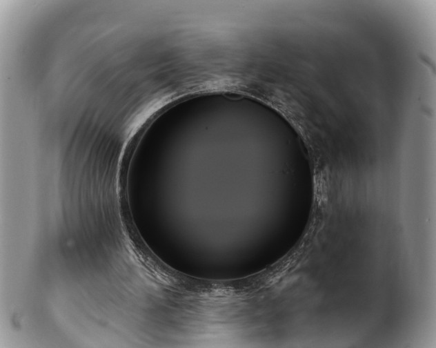 X0000102280196200808011458