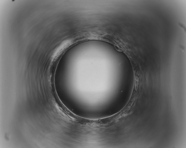 X0000102280197200808011458