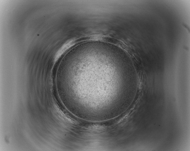 X0000102280198200808011458