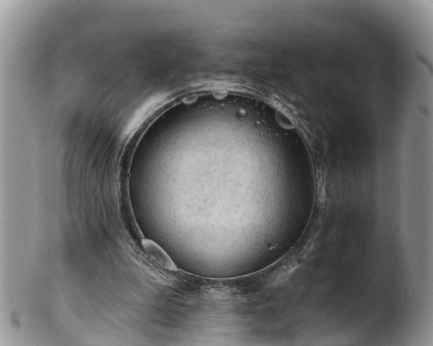 X0000102280199200808011458