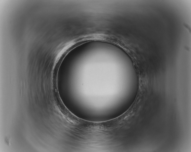 X0000102280200200808011458