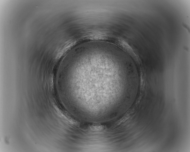 X0000102280202200808011458