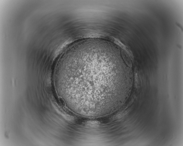 X0000102280203200808011458