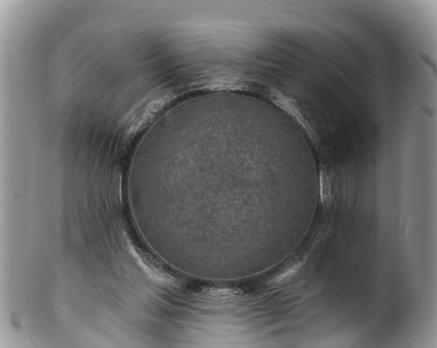 X0000102280205200808011458