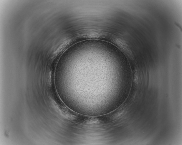 X0000102280206200808011458