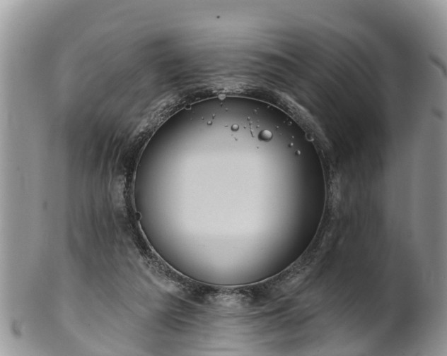 X0000102280209200808011458