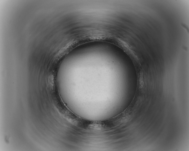 X0000102280211200808011458