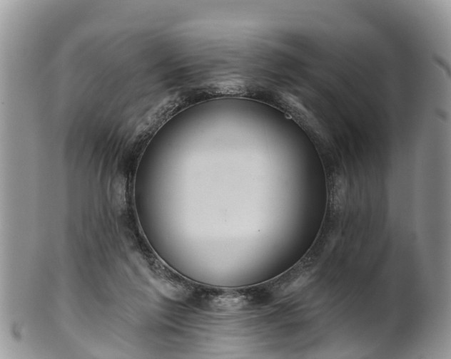 X0000102280213200808011458