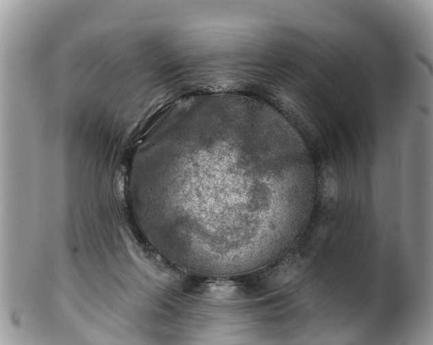 X0000102280214200808011458