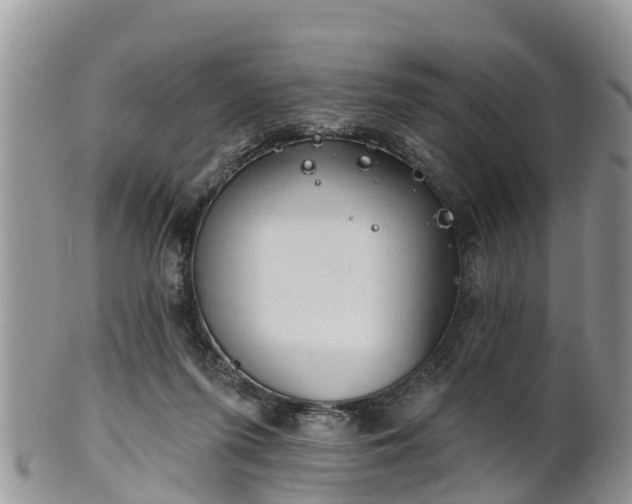 X0000102280215200808011458