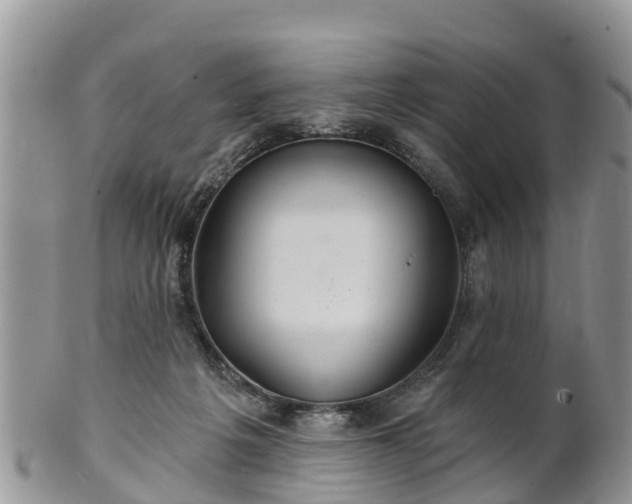 X0000102280217200808011458