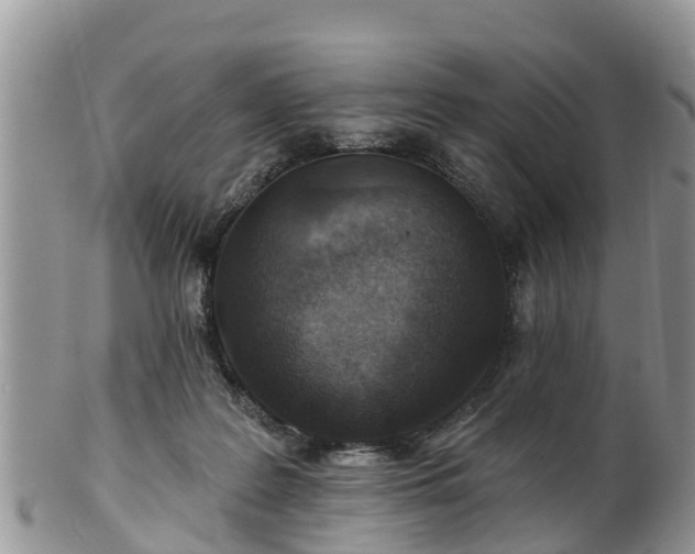 X0000102280219200808011458