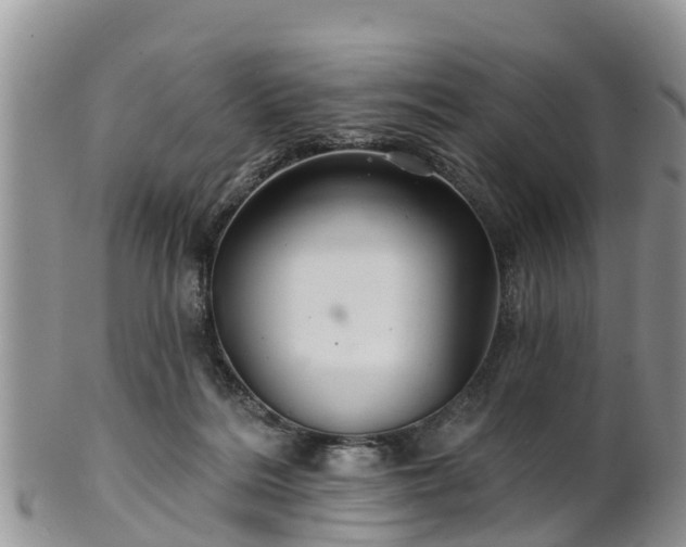 X0000102280220200808011458