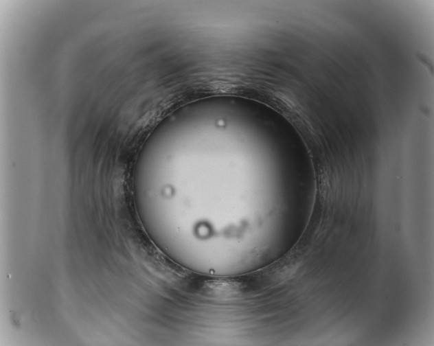 X0000102280221200808011458