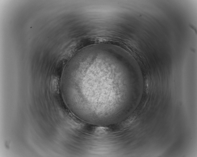 X0000102280222200808011458